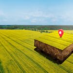 Investasi Tanah atau Emas: Mana Pilihan Terbaik untuk Anda?